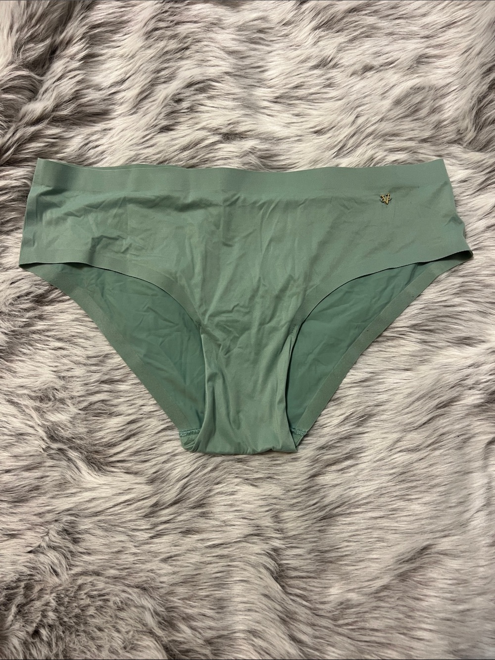 Victoria’s Secret Seamless Mint Green Hipster Briefs with Gold Logo